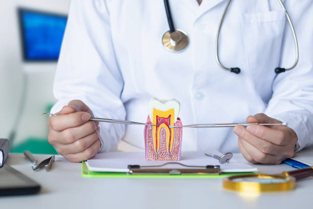 Best Pediatric Emergency Dentist in Allen Park, MI